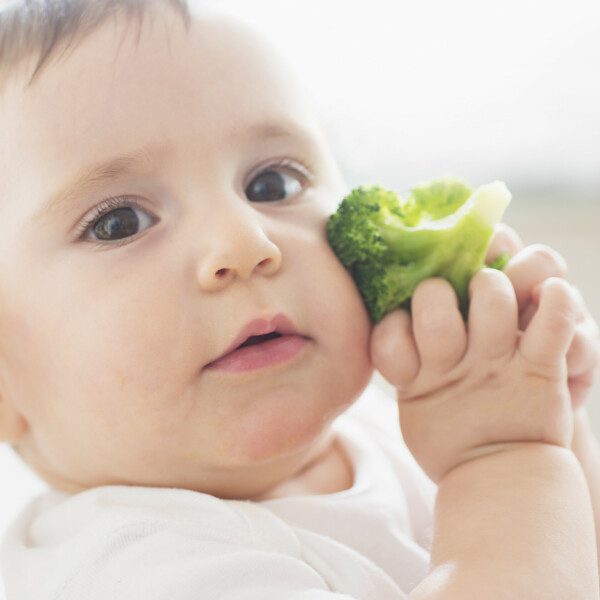 La phase de diversification : comprendre les bases